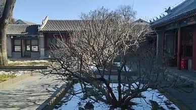 旅行古宅游玩雪景拍摄恭王府北京视频的预览图
